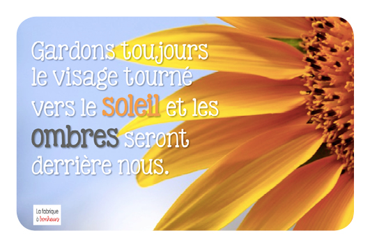 jeudecarte517