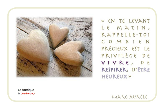 jeudecarte53